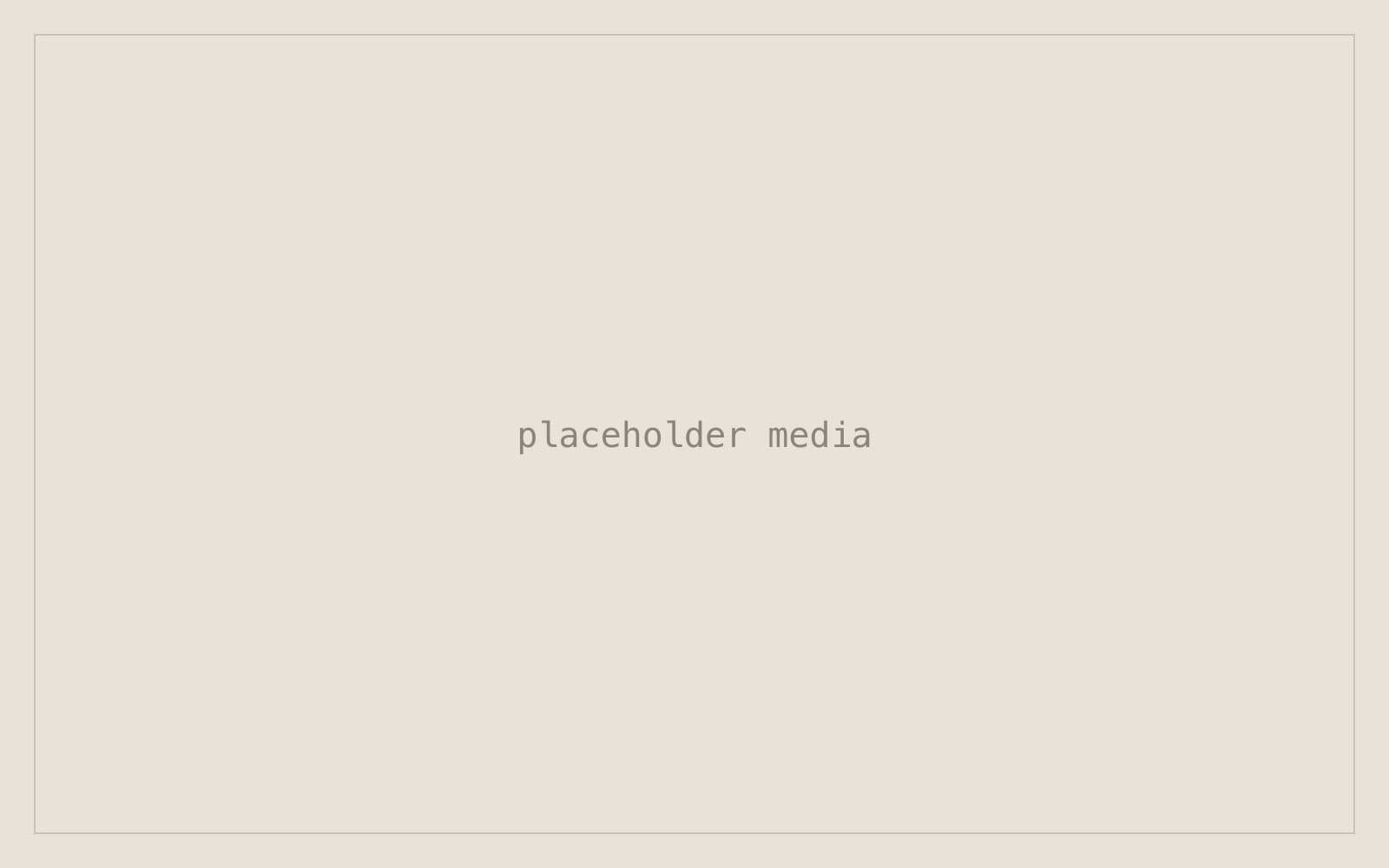 Placeholder media